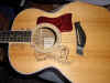DanBern_Taylor.jpg (83467 octets)