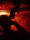 JA_Eve23.jpg (32958 octets)